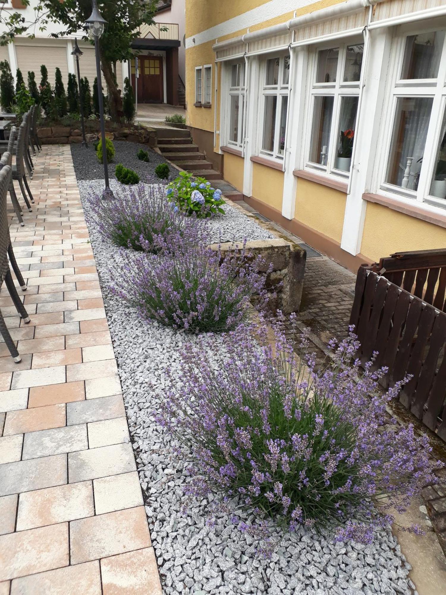 Hotel Eleon Bad Teinach-Zavelstein Eksteriør billede